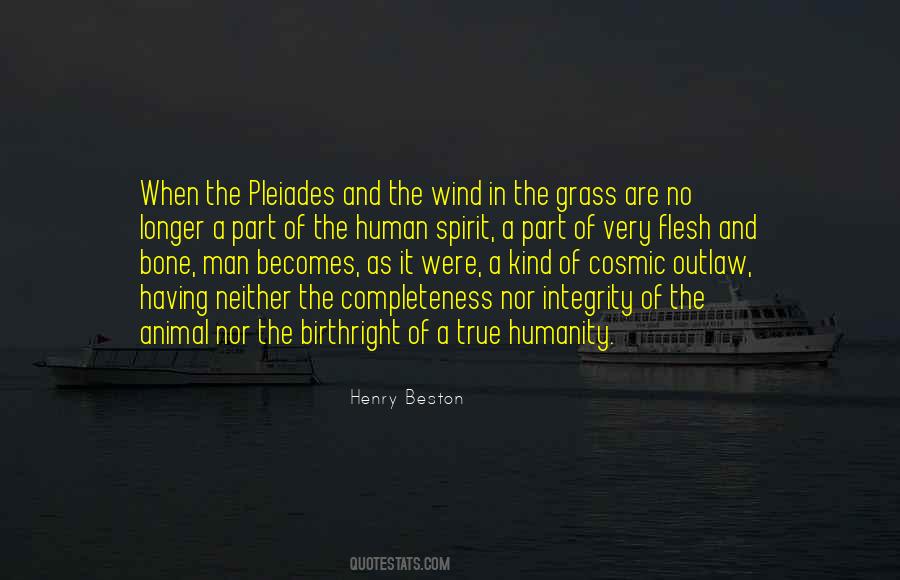 Wind Spirit Quotes #60724