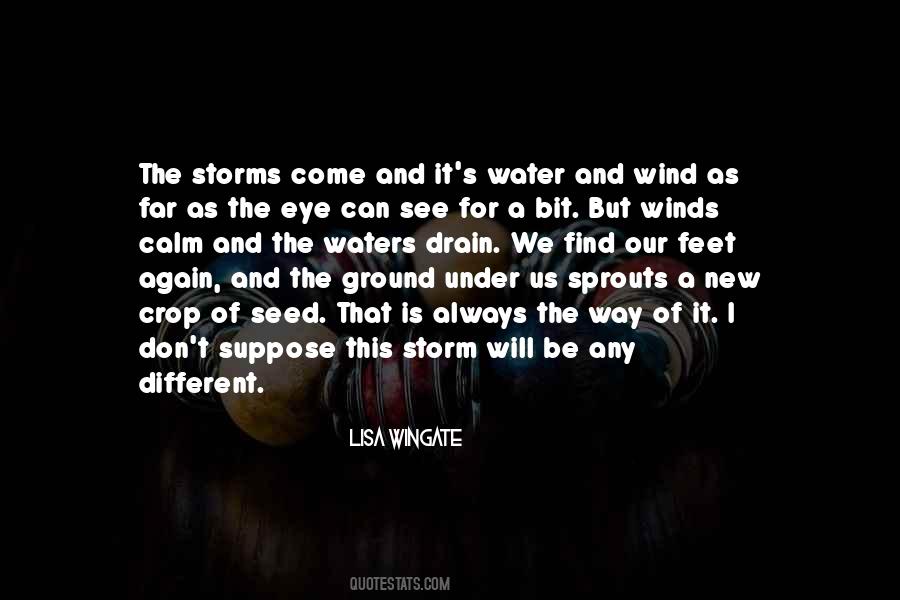 Wind Storm Quotes #1066184