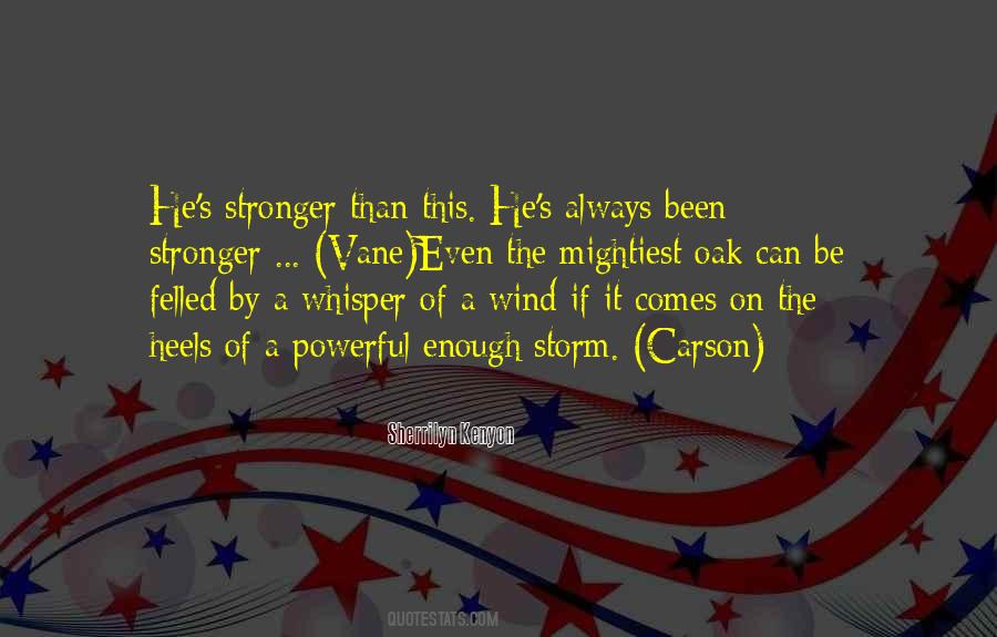 Wind Storm Quotes #1315345