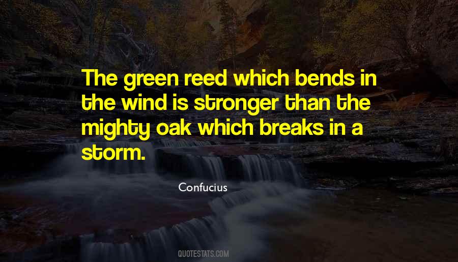 Wind Storm Quotes #75557