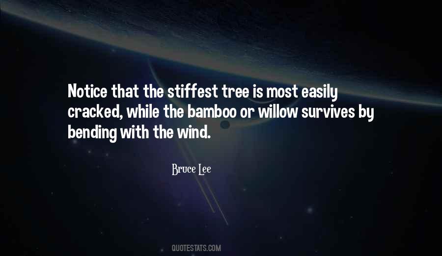 Wind Tree Quotes #279652