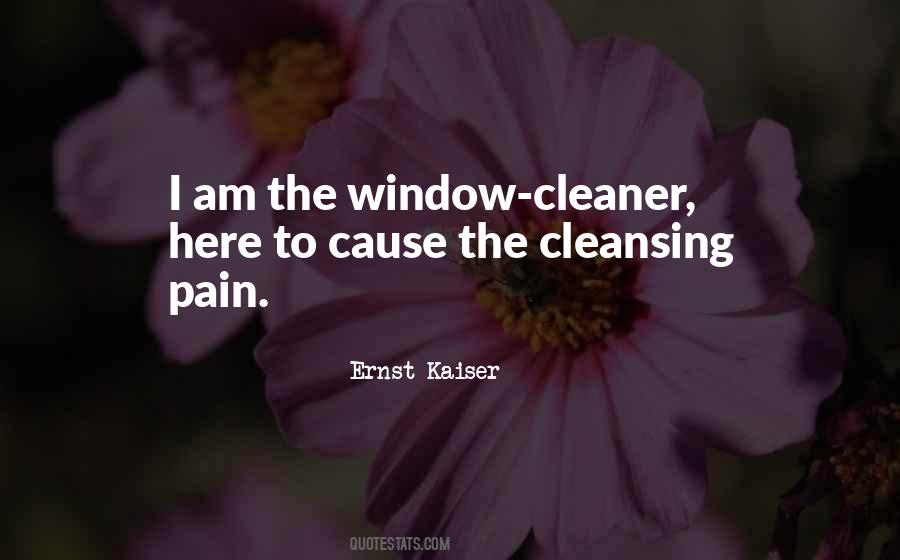 Window Cleaner Quotes #414218