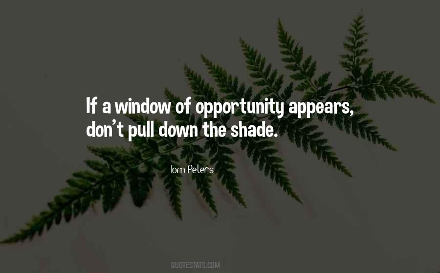 Window Shade Quotes #1649514