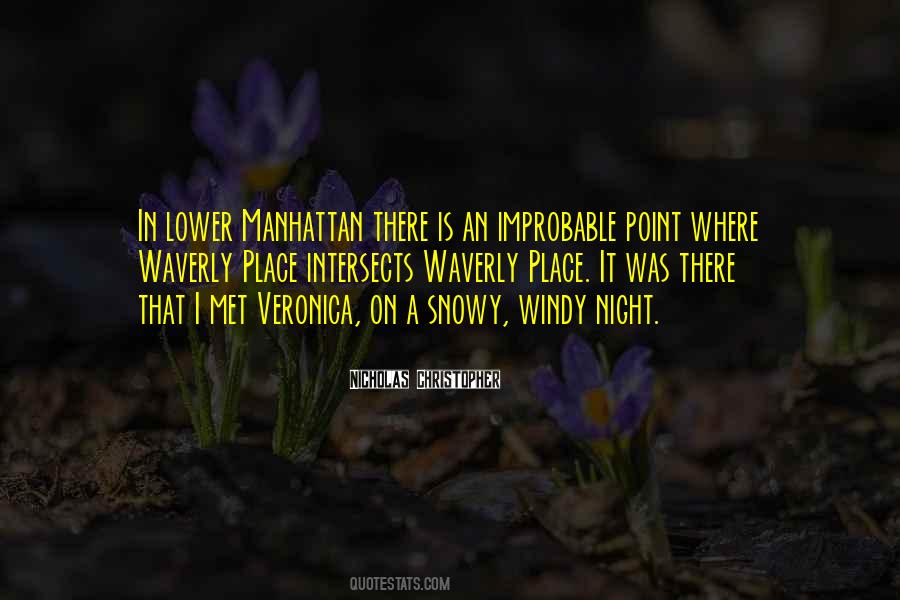 Windy Night Quotes #673480