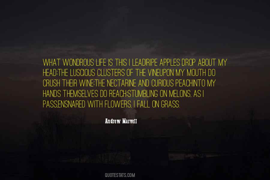 Wine And Life Quotes #502859