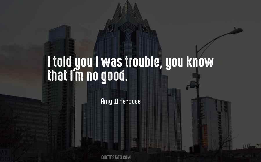 Winehouse Quotes #703705