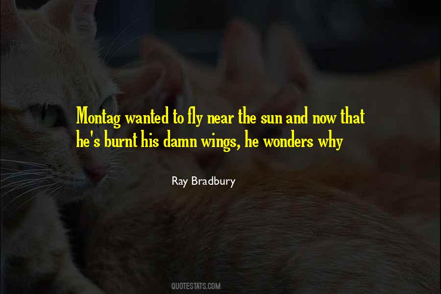 Wings And Fly Quotes #66537
