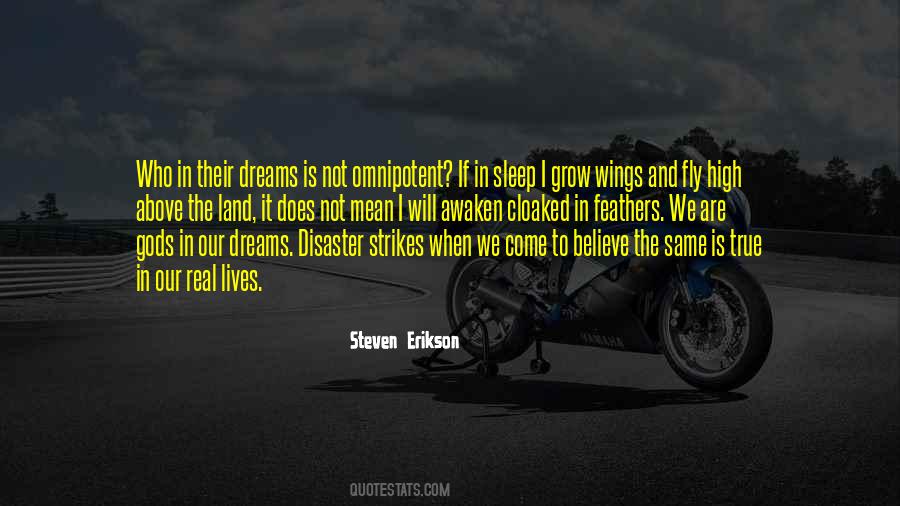 Wings And Fly Quotes #710199