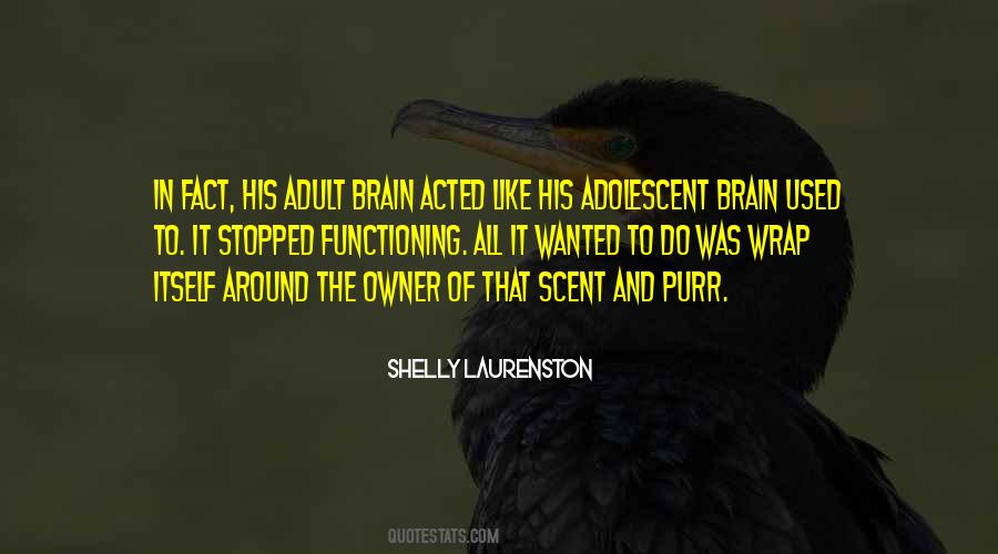 Wingtip Quotes #1499409