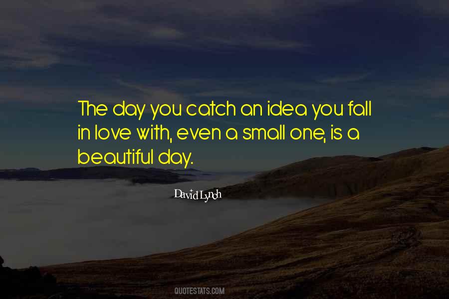 Quotes About The Beautiful Day #93823