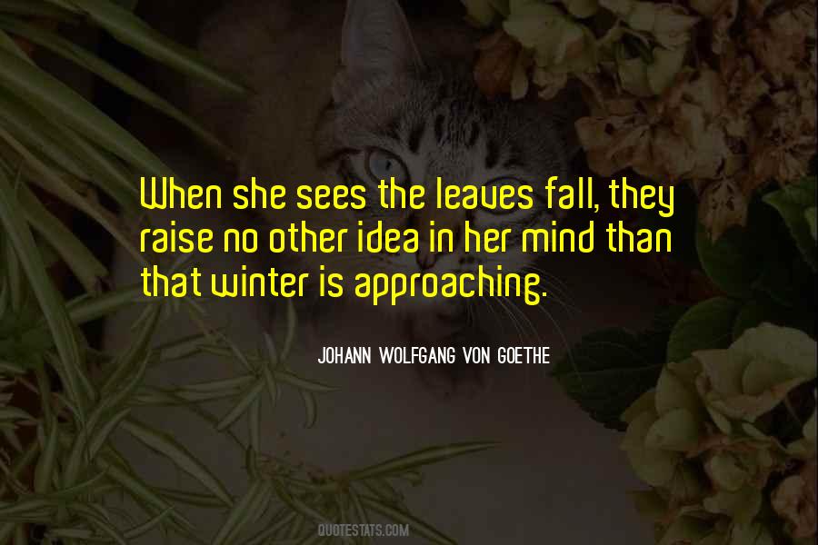 Winter Fall Quotes #1338664