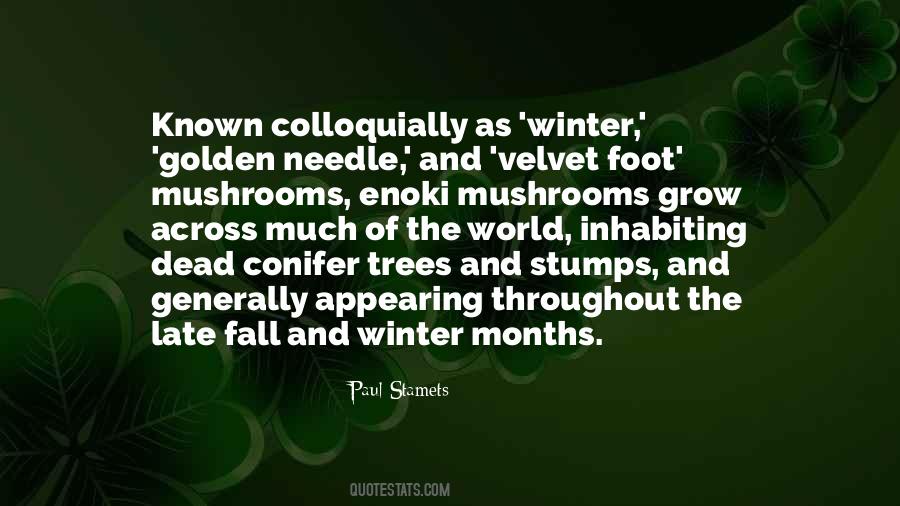 Winter Fall Quotes #1494395