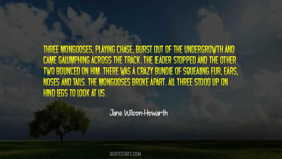 Winter In Delhi Quotes #1301501
