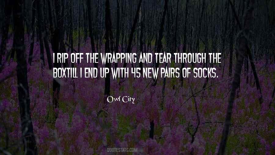 Winter Socks Quotes #1504840