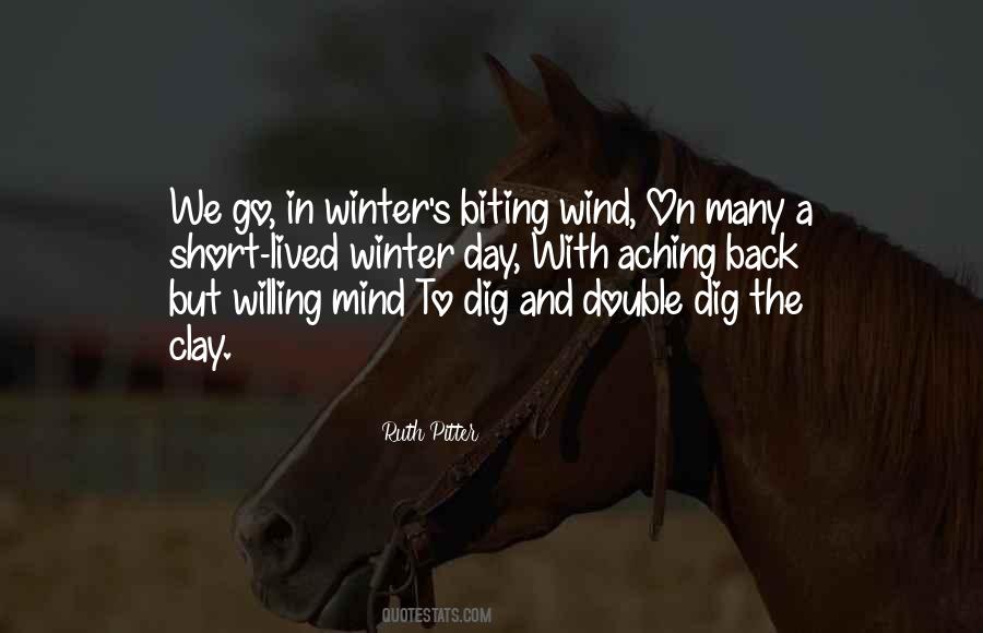 Winter's Day Quotes #1382678