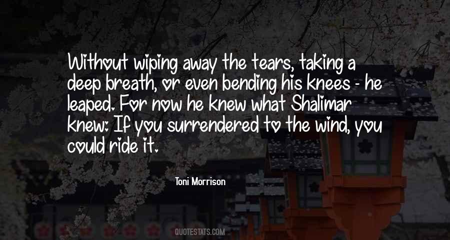 Wiping My Tears Quotes #179655