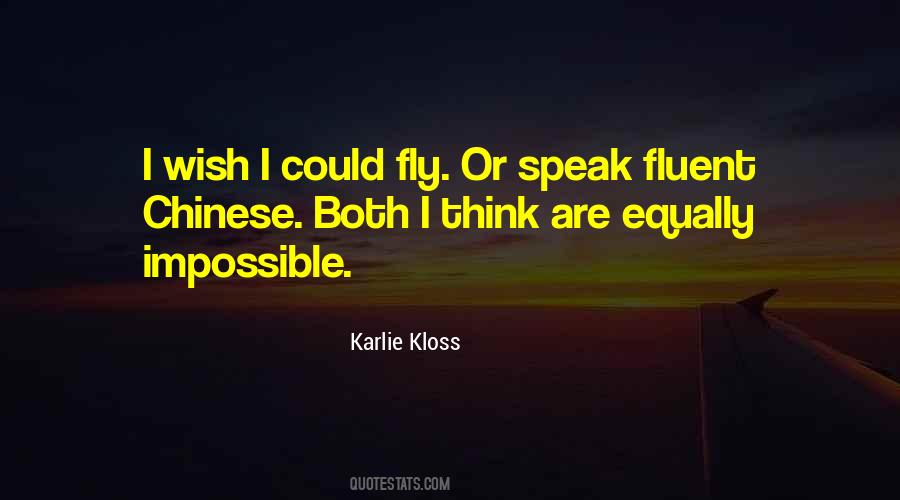 Wish I Could Fly Quotes #1152096