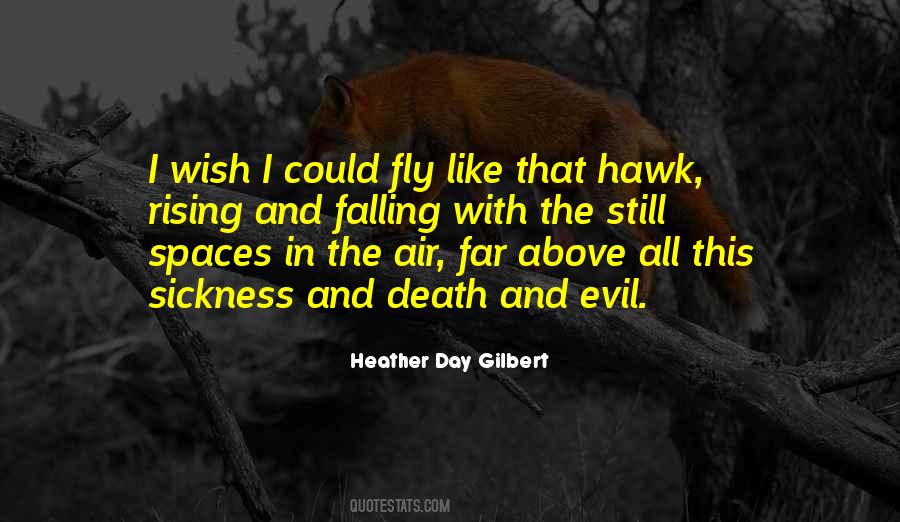 Wish I Could Fly Quotes #1826122