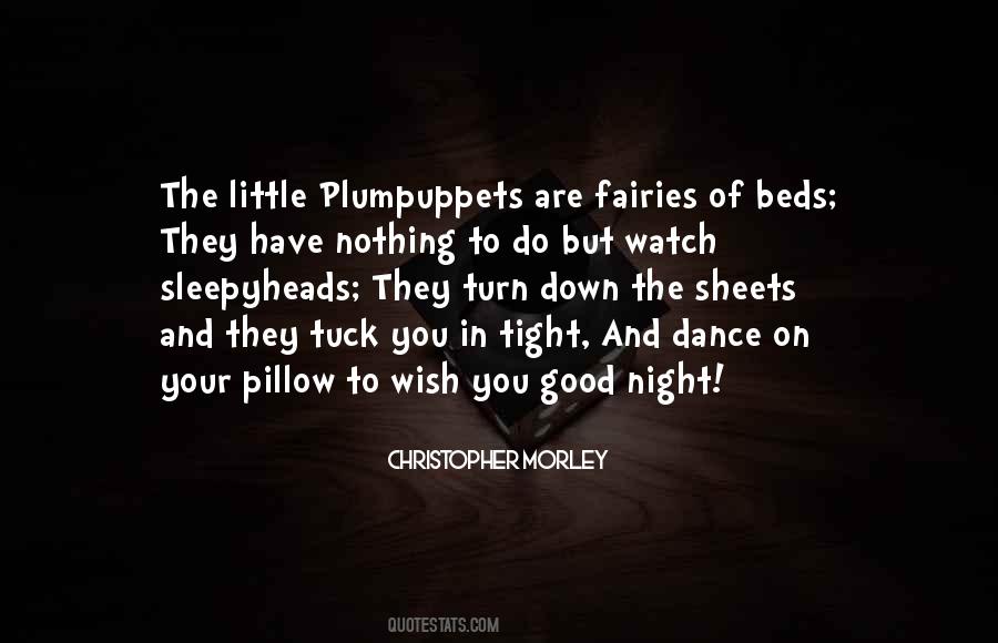 Wish You Good Night Quotes #867958