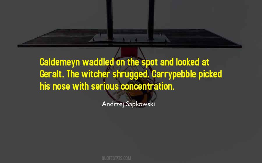Witcher Quotes #626681