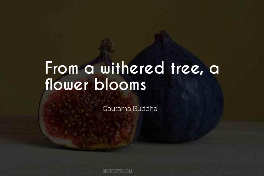 Withered Flower Quotes #1043527