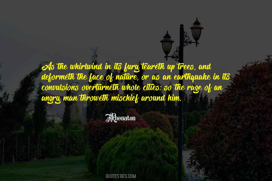 Within The Whirlwind Quotes #595857