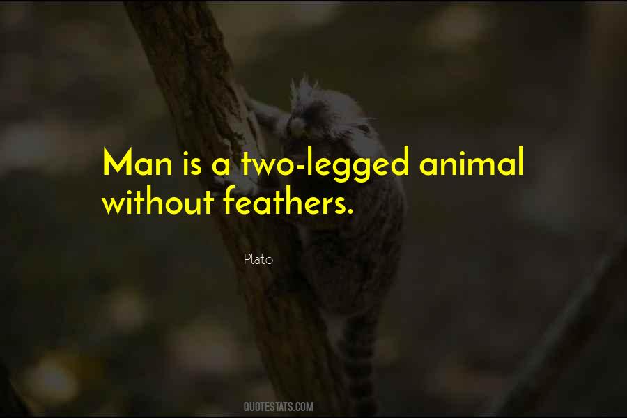 Without Feathers Quotes #944412