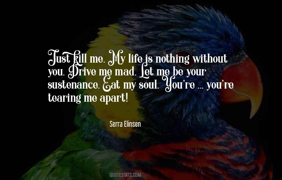Without You My Life Is Nothing Quotes #734135