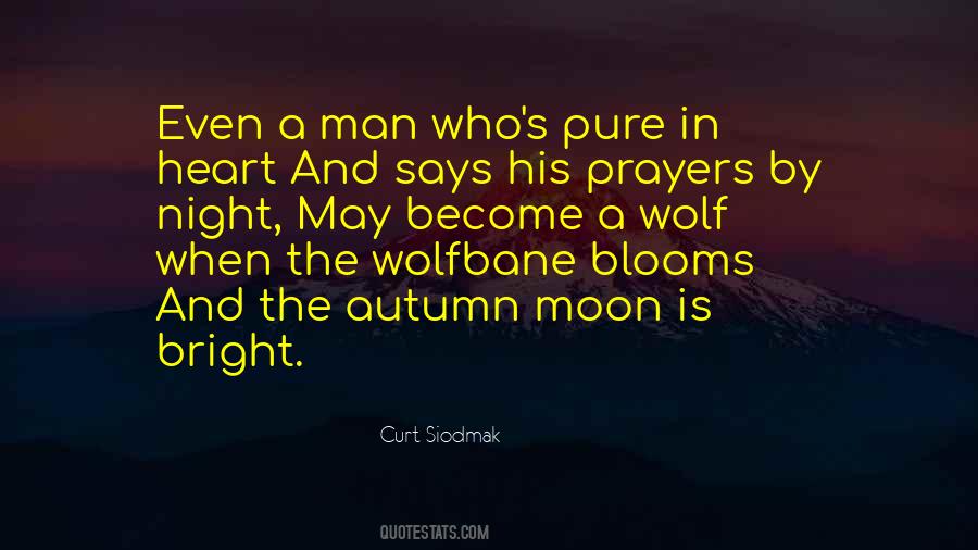 Wolf And Night Quotes #663993