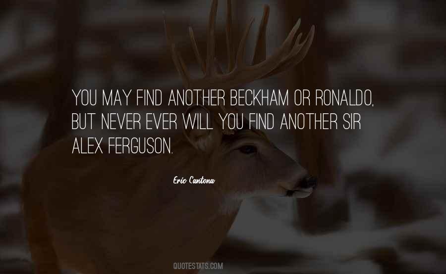 Wolf And Prey Quotes #820621