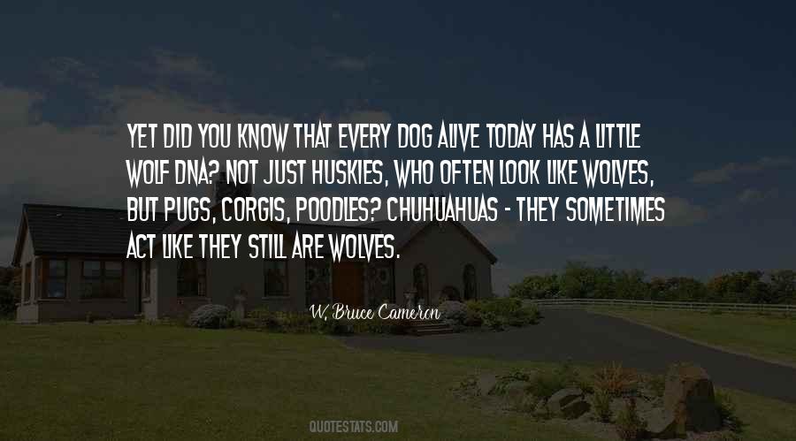 Wolf Dog Quotes #1765151