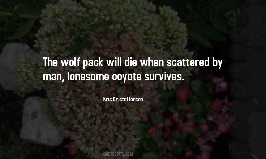 Wolf-e-boy Quotes #28636