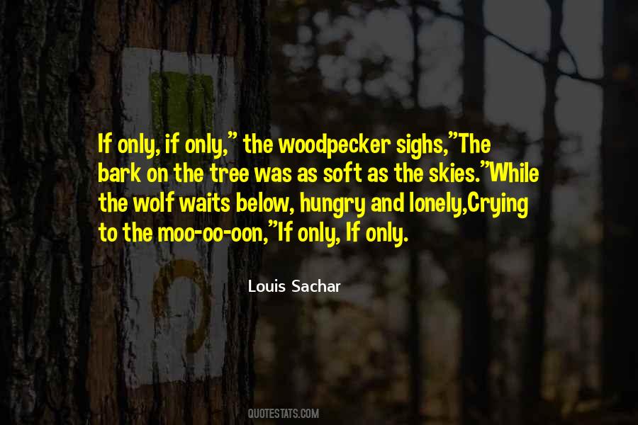 Wolf-e-boy Quotes #5811