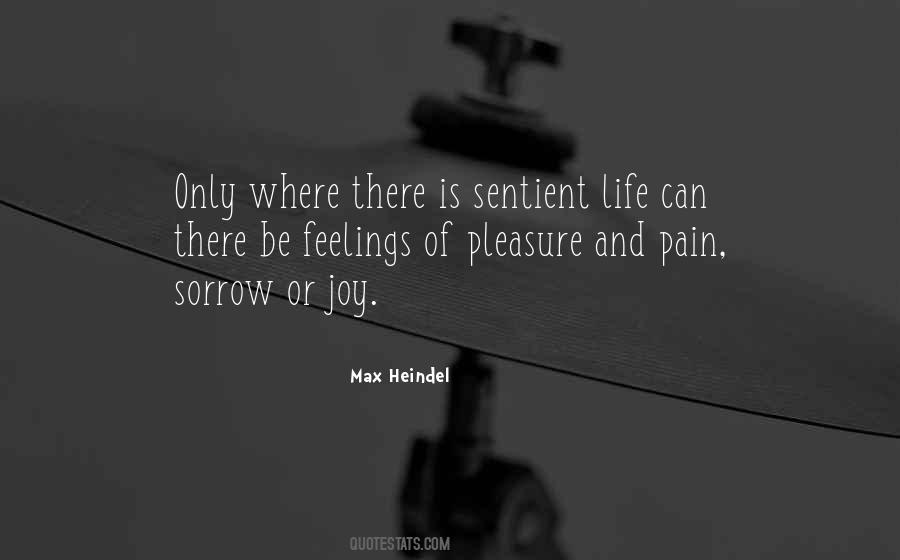 Quotes About Joy And Sorrow #166937