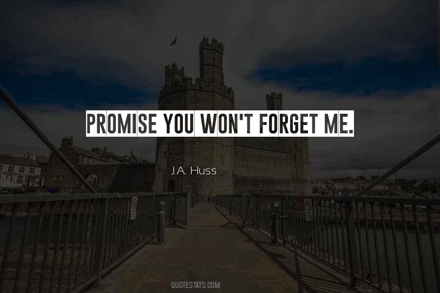 Won't Forget Quotes #1656022