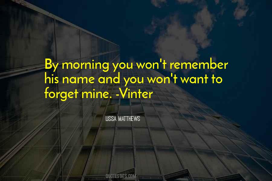 Won't Forget You Quotes #1099770