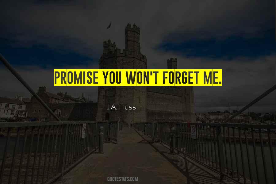 Won't Forget You Quotes #1656022