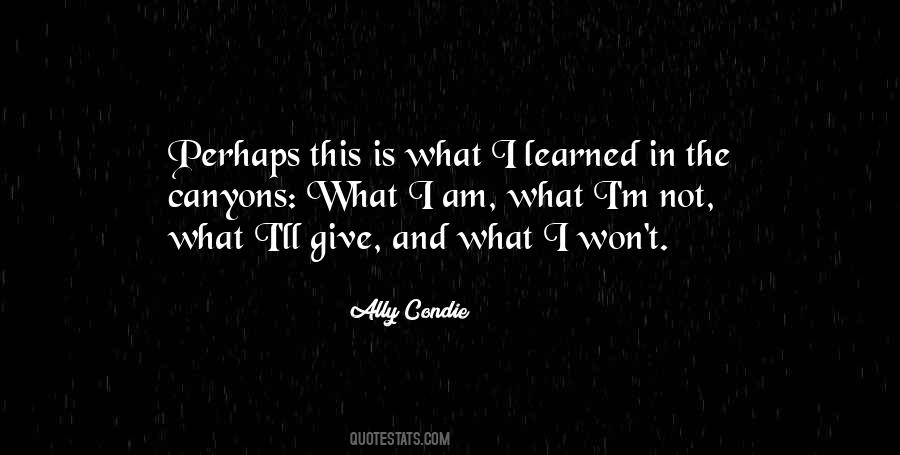 Won't Give Up On Us Quotes #67344