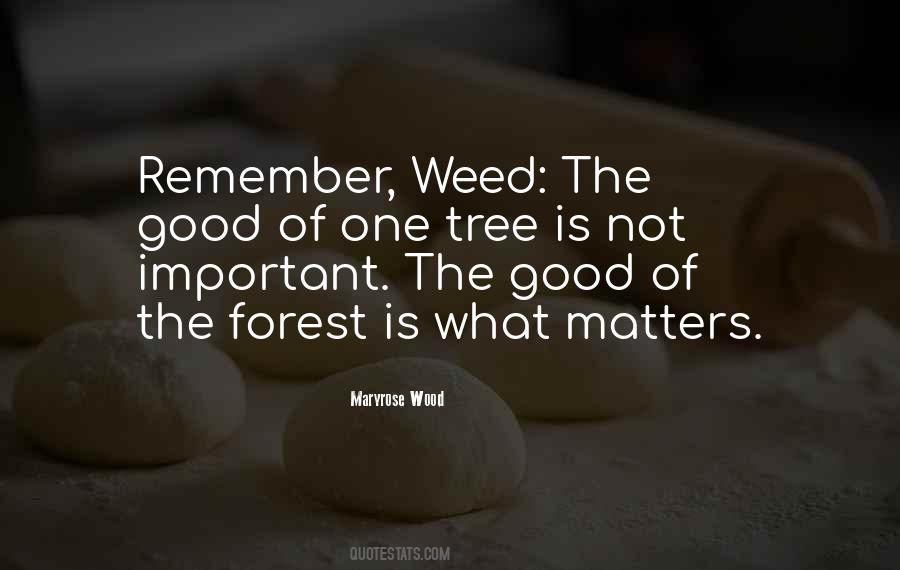 Wood Forest Quotes #871810