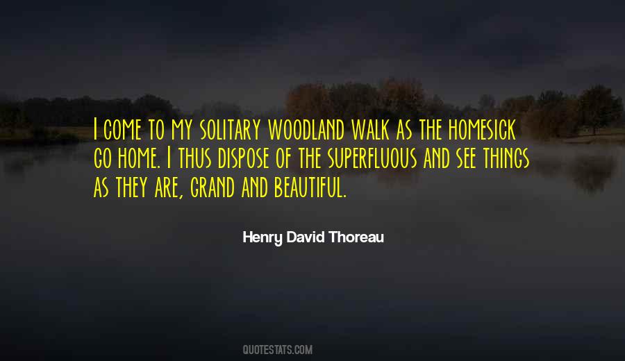 Woodland Walk Quotes #900032