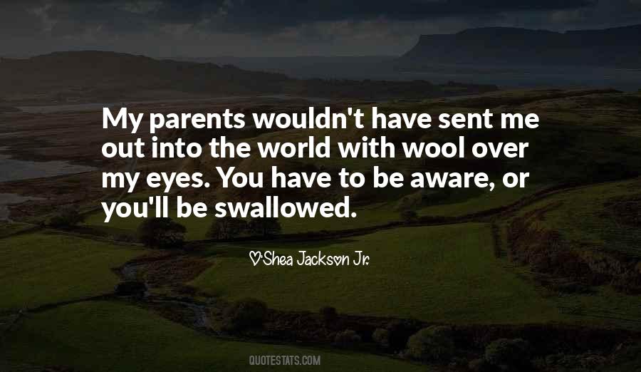 Wool Over Your Eyes Quotes #708400