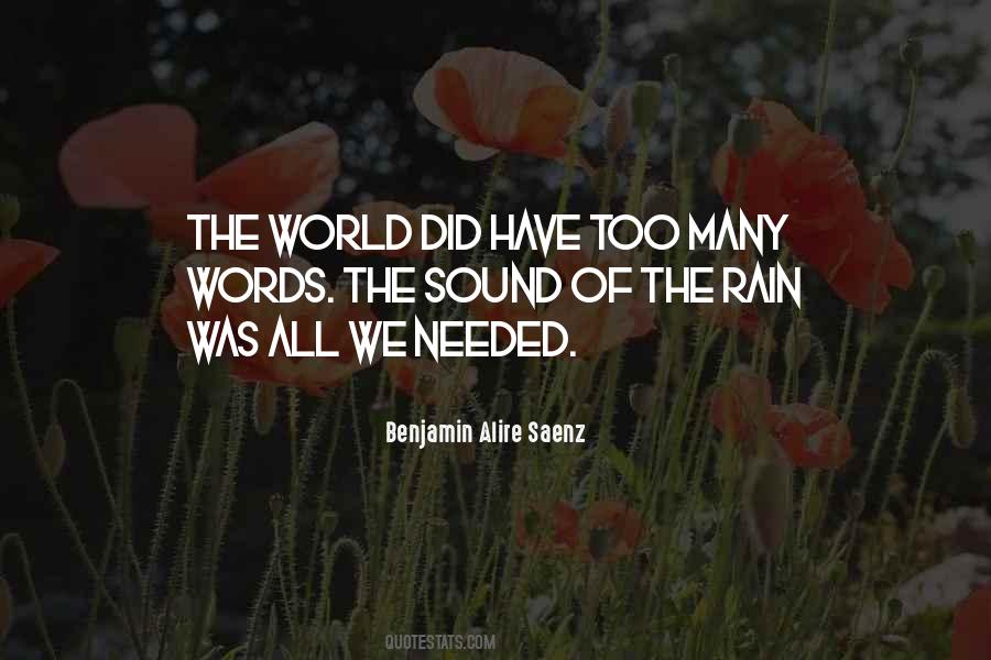 Words Are Not Needed Quotes #198893