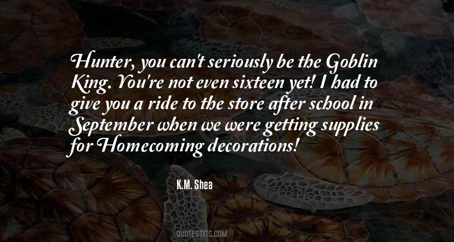 Quotes About Ambiverts #640800