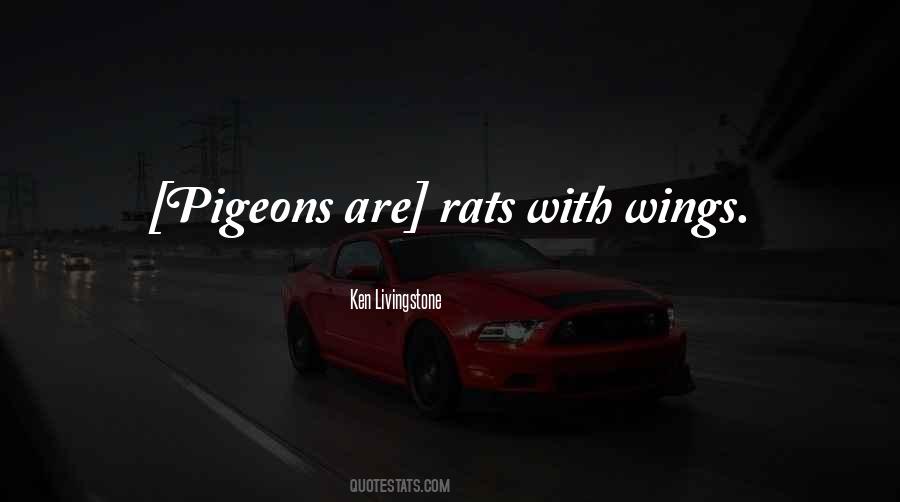 Quotes About Pigeons #59953