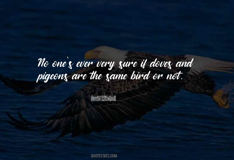 Quotes About Pigeons #729313