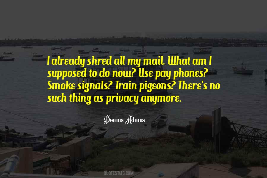 Quotes About Pigeons #869116