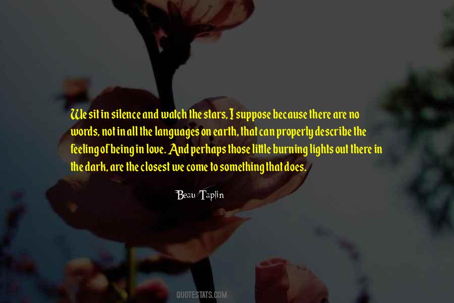 Words Can't Describe How Much I Love You Quotes #1345728