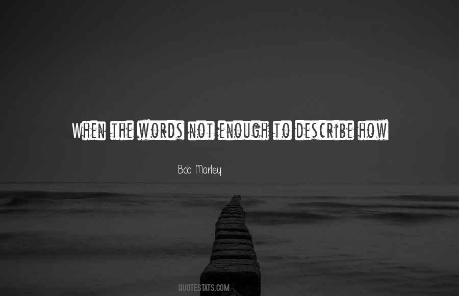 Words Can't Describe How Much I Love You Quotes #1593515