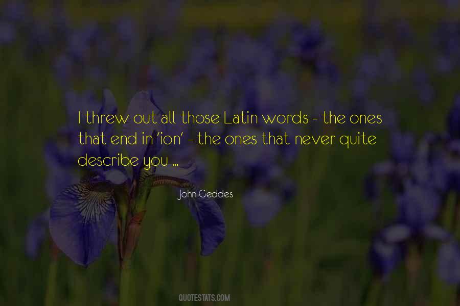 Words Can't Describe How Much I Love You Quotes #1723068