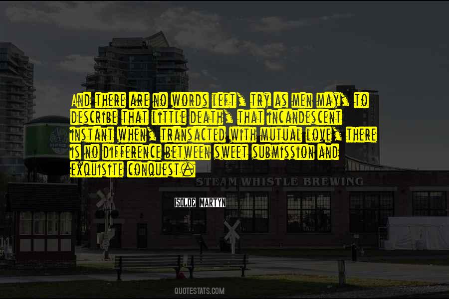 Words Can't Describe How Much I Love You Quotes #1858062